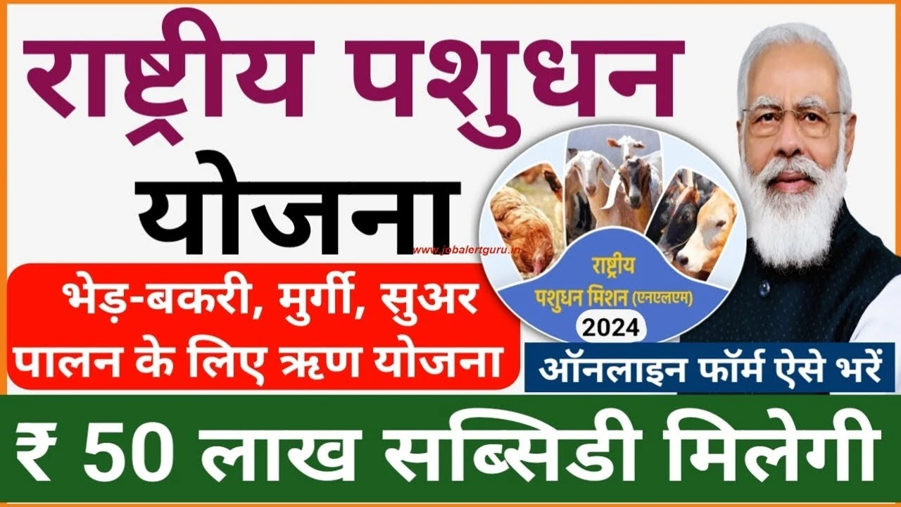 राष्ट्रीय पशुधन योजना 2025: भेड़-बकरी, चारा और मुर्गी पालन के लिए मिलेगी ₹50 लाख तक की सब्सिडी